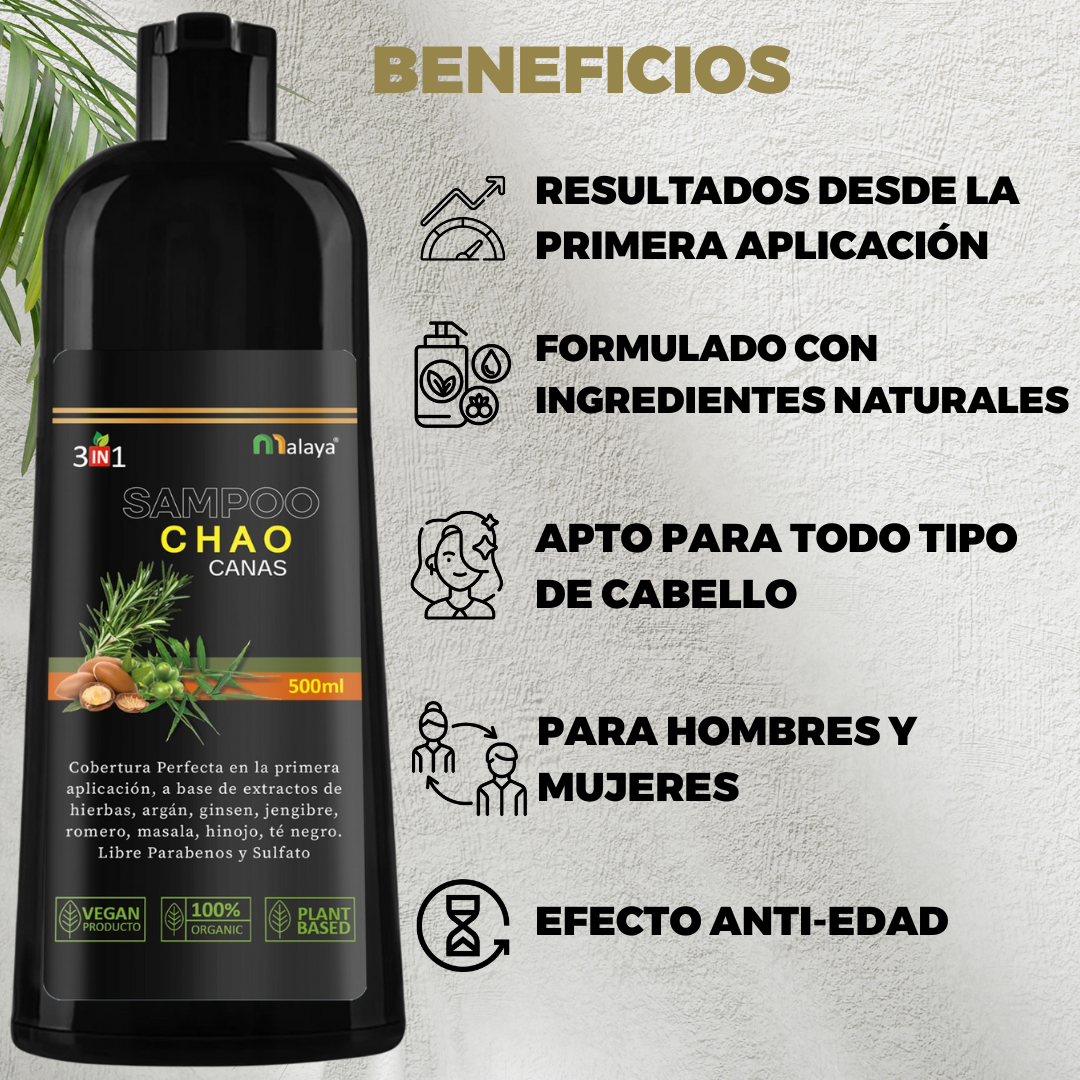 SHAMPOO CHAO CANAS + TRATAMIENTO + REGALO